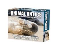 Animal Antics 2027 Box