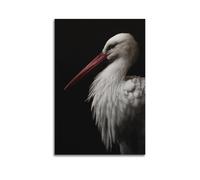 Animal Art Close Up Of White Stork With Red Beak On Black Background Decorative Painting Canvas Wall Posters And Modern Family Bedroom Decor 16x24inch(40x60cm)