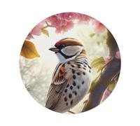 Animal Artwork Sparrow on The Branch Metal Tin Sign