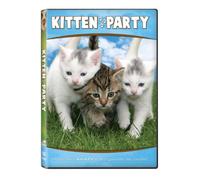 Animal Atlas: Kitten Party [DVD] [Region 1] [US Import] [NTSC]
