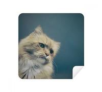 Animal Blue Cat Photograph Shoot Glasses Cleaning Cloth Phone Screen Cleaner Suede Fabric 2pcs