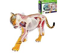 Animal Body Model, 4D Tiger Anatomy Model, Kidney Model Detachable 28 Parts Teaching Model Biological Model Learning Display
