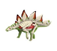 Animal Body Model: Interactive Biology Teaching Tool with Removable Organs, Ideal for Home Schooling (to, 3104