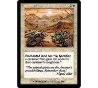 Animal Boneyard | Odyssey