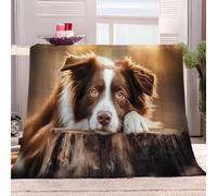Animal Border Collie Fluffy Blanket Brown Fleece Blanket for Bed Couch and Sofa Soft Fluffy Print Blanket for Outdoor Travel, Bedroom living Room 150x200 cm