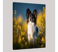 Animal Canvas Wall Art Pet Papillon 70 x 50 cm Modern Stretched Framed Giclee Print Picture for Living Room Bedroom Kitchen Bathroom