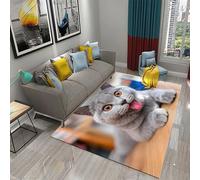 Animal Cat 3D Printing Large Carpet Living Room Area Carpet Soft Flannel Boy Room Gift Rug Cushion Rug 100 X 150 Cm - Polyester Soft Touch Easy Clean, Stain Resistant /5699841693200
