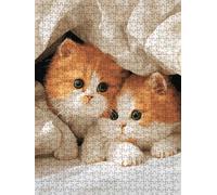 Animal Cat Jigsaw Puzzle 4000 Piece, Puzzles for Adults 4000, The Impossible Challenge, Jigsaw Puzzle Games Classic Educational, Wooden Puzzles, for Home Wall Decoration Gift FNKL1-272