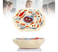 Animal Cell Anatomy Model, Enlarged Animal Cell Model, Cross-Section Cell Model for Classrooms & Laboratories Learning Easy To Carry, for Study, Research Institute