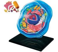 Animal Cell Anatomy Model, Enlargement Biology Animal Cells Structure Teaching Model, with 24 Detachable Parts, for Microbiology Research and Study