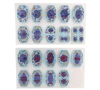 Animal Cell Mitosis and Meiosis Model, 19pcs Detailed Chromosome Stages, with Magnetic Suction, Cell Division Stage Display Model, for Biology Study Teaching