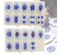 Animal Cell Mitosis and Meiosis Model, 3D Cell Meiosis Model, 19pcs Cell Structure Taxonomy Model With Magnet On The Back, PVC Material, for Biology Study Teaching, Lab Supplies