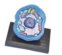 Animal Cell Model Anatomical Teaching Supplies with Detailed Cellular Structure Biology Science Projects Display 6.30x4.72x4.72inch