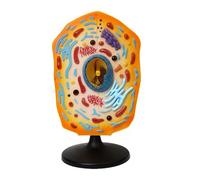 Animal Cell Model Anatomy Kit - Detailed Biology Teaching Set Showing Cell Membrane, Cytoplasm, Nucleus, and Other Essential Parts for Studying Animal Cells