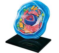 Animal Cell Model - Detachable 4D Anatomy Puzzle for Biology Teaching - Cross-Section Assembly Educational Tool for Students