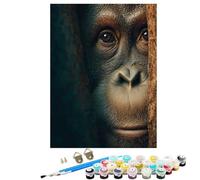Animal Chimpanzees Paint by Numbers for Children, 24x32 inch Large Paint by Numbers for Adults, DIY Oil Paintings Crafts for Women Gifts With Brushes and Acrylic Pigment Home Wall Decor BJHWK273