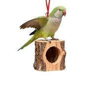 Animal Christmas Ornaments 2D Cute Christmas Acrylic Pendant Animal Raccoon 2D Acrylic 2026 Cartoon Christmas Ornaments Forest