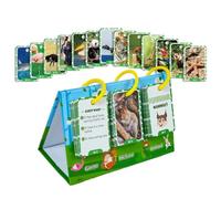 Animal Cognition Flash Cards, Animal Flash Cards for Kids - 69x Realistic Animal Cognitive Cards,Early Learning Puzzle, Educational Games, Game Games