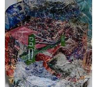 ANIMAL COLLECTIVE - BRIDGE TO QUIET