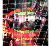 Animal Collective - Centipede Hz [VINYL]