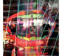 Animal Collective - Centipede HZ [VINYL]