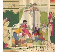 Animal Collective Feels (Vinyl) 12" Album
