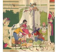 Animal Collective Feels Vinyl LP 2021 NEW