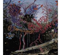 Animal Collective - Here Comes The Indian [VINYL]