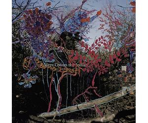 Animal Collective - Here Comes The Indian [VINYL]