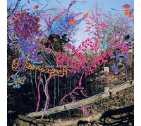 ANIMAL COLLECTIVE - HERE COMES THE INDIAN VINYL LP NEW