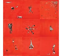 ANIMAL COLLECTIVE - HOLLINDAGAIN VINYL LP NEW