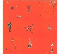 Animal Collective - Hollinndagain