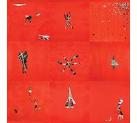 Animal Collective Hollinndagain LP Vinyl AC300LP NEW
