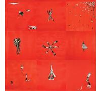 Animal Collective – Hollinndagain – 12" Vinyl – Domino – 2022