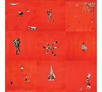 Animal Collective - Hollindagain [VINYL]