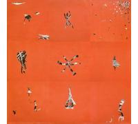 Animal Collective - Hollinndagain [VINYL]