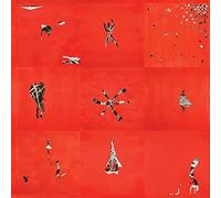 Animal Collective – Hollinndagain – 12" Vinyl – Domino – 2022