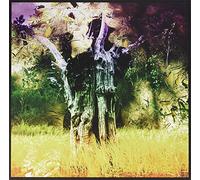 Animal Collective - Meeting Of The Waters [VINYL]