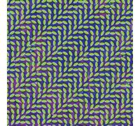 Animal Collective - Merriweather Post Pavilion (15th Anniversary Translucent Green & Blue Vinyl) [VINYL]