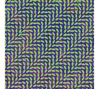 Animal Collective Merriweather Post Pavilion (Vinyl) 12" Album