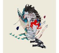 ANIMAL COLLECTIVE PAINTING WITH LP VINYL NEW 33RPM
