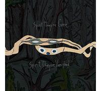 Animal Collective - Spirit They're Gone, Spirit They've Vanished (Remastered 2023)