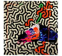 ANIMAL COLLECTIVE - TANGERINE REEF - Vinyl Record 12 RECORD - 57 - B123z