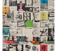 Animal Collective - Time Skiffs