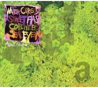 Animal Collective - Water Curses