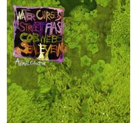 Animal Collective - Water Curses [Us Import]