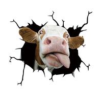 Animal Cow Car Sticker,Asudaro 4pcs Creative Cracking Glass Cow Decal Cute Animal Wall Decals for Vehicles Automotive Van Trucks Laptop 30x30cm