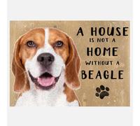 Animal Crackers 20Cm Metal Beagle 'a House Is Not A Home' Hanging Sign