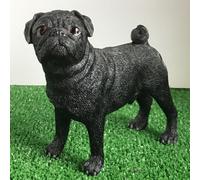 Animal Crackers Black Pug Figurine From The Leonardo Dog Studies Range, Gift Boxed.