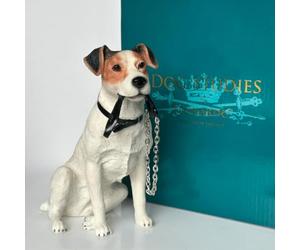 Animal Crackers Border Collie sitting figurine from the Dog Studies range, gift boxed (Jack Russell)